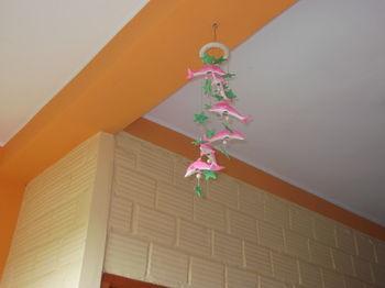 Inn Amazon House Iquitos